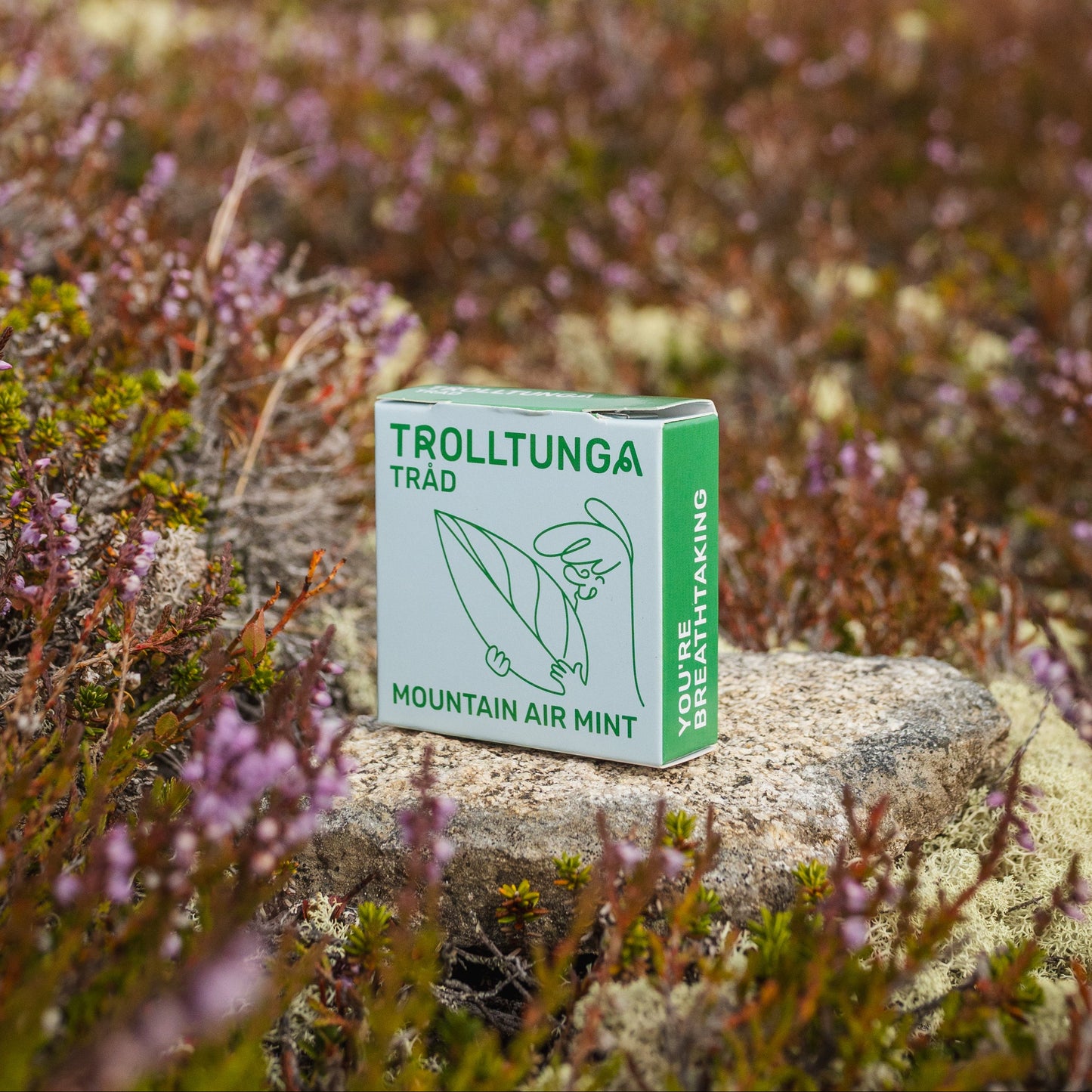 Mountain Air Mint Tanntråd