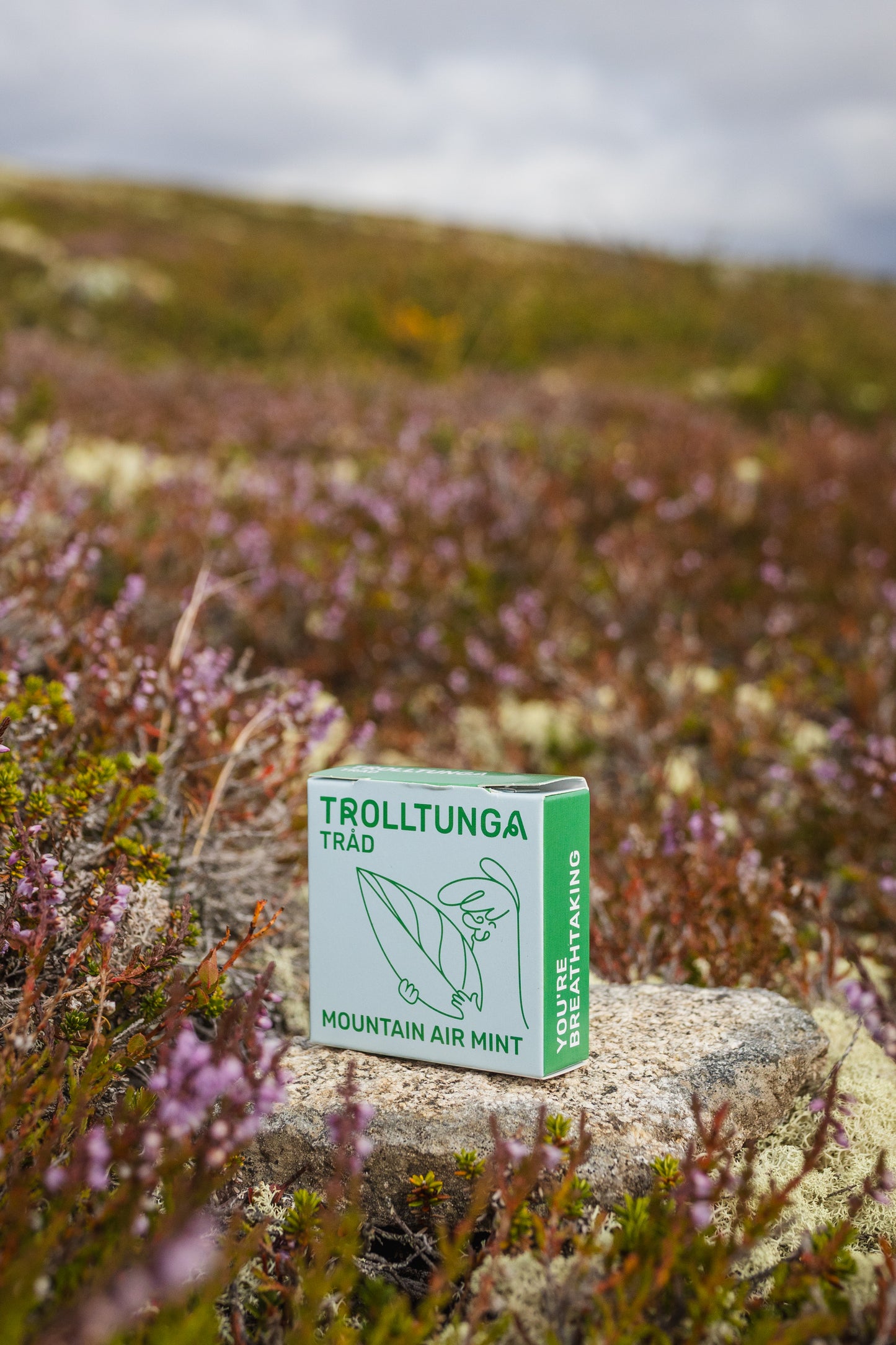 The Fresh & Fruity Pack – Mest populær!